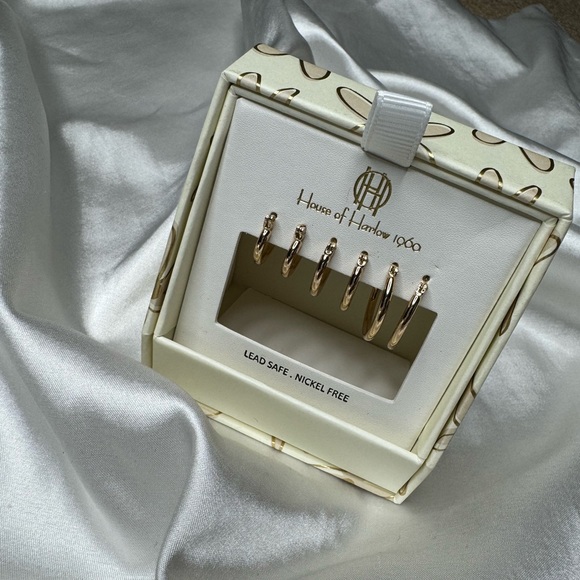 Mini Hoop Earnings - Picture 4 of 5